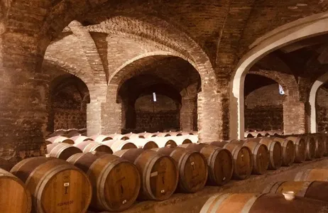 Santiago Tour Half Day Winery - Maipo Valley