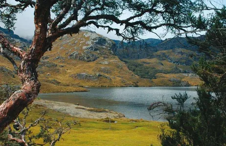 Cuenca Tour Cajas National Park Tour