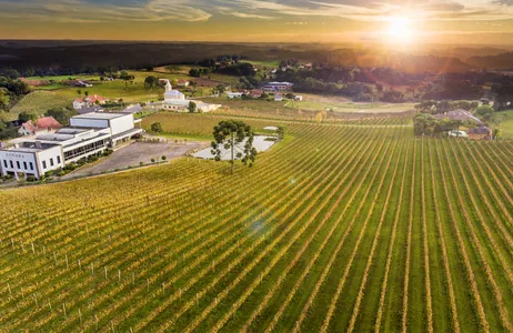 Gramado Tour Tour Gran Reserva - Degustação de Vinhos