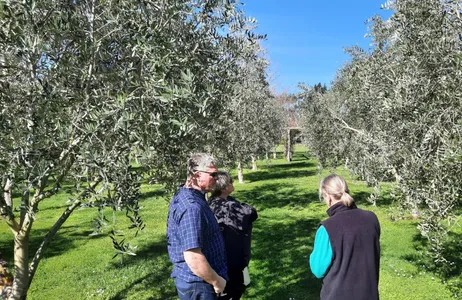 Wellington Tour Vinícola Martinborough e tour gastronômico