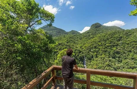 Rio de Janeiro Tour Caminata privada de 6 horas en el bosque de Tijuca: cascadas, miradores y picnic