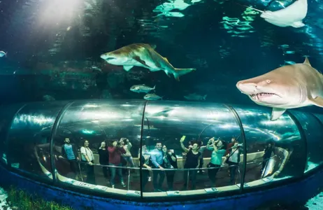 Barcelona Ticket Entrance to the Barcelona Aquarium