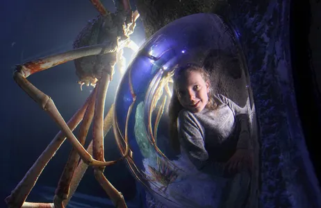 Manchester Tour Conheca SEA LIFE Manchester