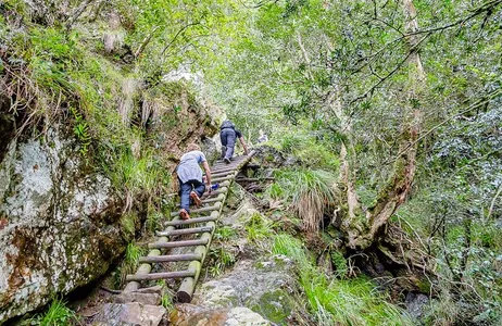 África do Sul Tour Tour para Skeleton Gorge  - Dia inteiro