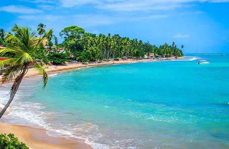 Maragogi Tour Maragogi: Descubra o Caribe brasileiro