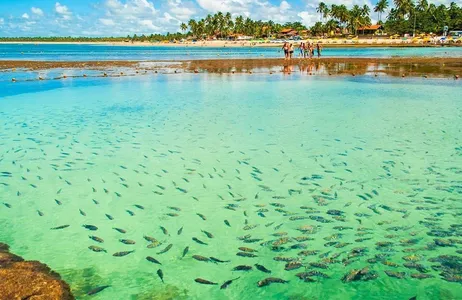 São Miguel dos Milagres Tour San Miguel de los Milagros: aguas cristalinas