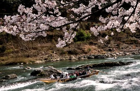 Kioto Ticket Paseo en barco por el río Hozu