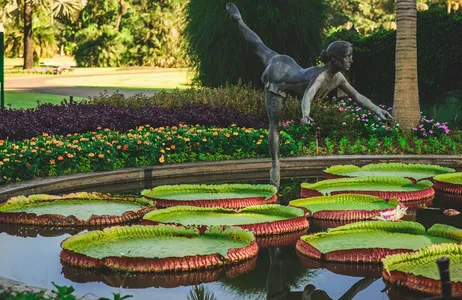 Holambra Tour Visita guiada ao Jardim Botânico em Nova Odessa