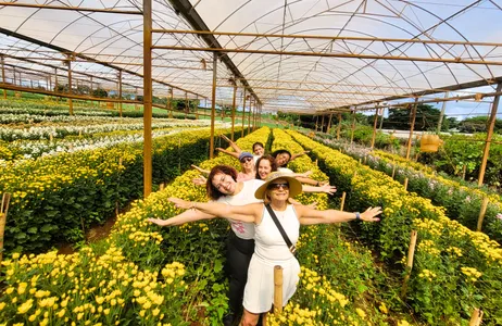 Holambra Tour City Tour Rural em Holambra