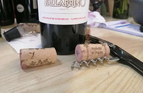 DESCOBRINDO DUAS VINÍCOLAS - FAMILIA DARDANELLI E FALLABRINO