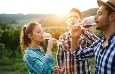 Romanian Wine Tasting Experience from Bucharest