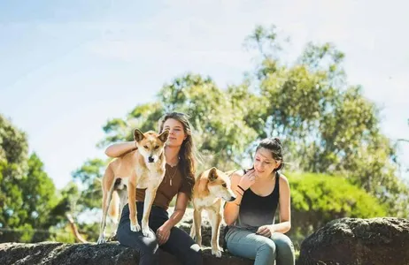 Ilha Phillip e Santuário ao Luar