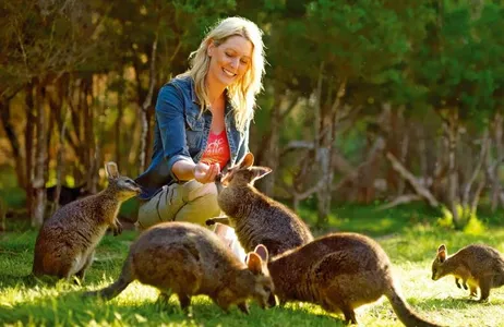 Excursão à vida selvagem em Phillip Island