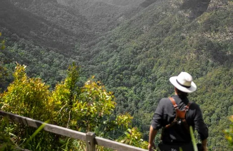 Parque nacional de O Reillys e Lamington