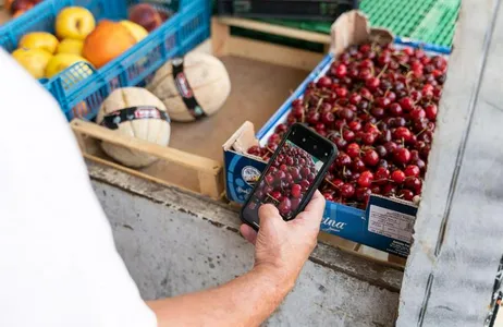 Excursão gastronômica de rua para pequenos grupos em Verona com um especialista em culinária local