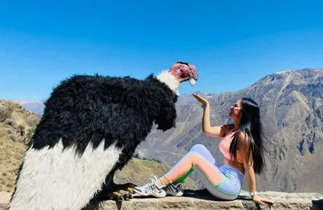 Descoberta do Canyon Colca - 2 dias de viagem