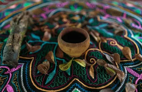 Ayahuasca Experience: 1 Night Session