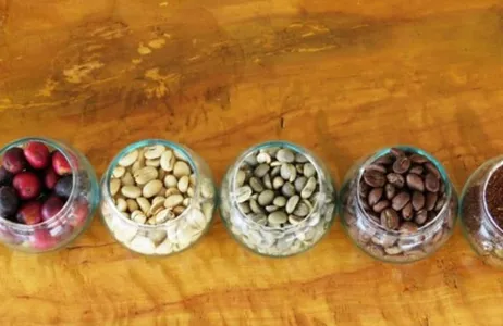 Private Coffee Tour in Bogotá