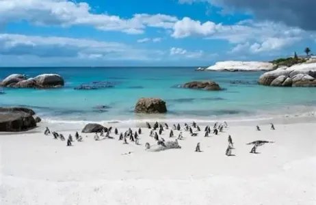 Magical Private Bike Tour - In Cape Town