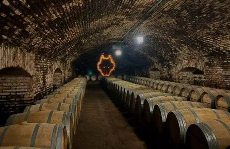 Viña Concha y Toro - Premium Tour