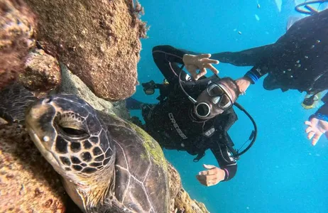 Diving in Arraial do Cabo — with private transfer